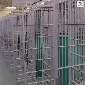 15M views · 482K reactions | Volunteer staff at a Florida kennel cheer in front of empty dog cages after all the dogs were adopted—for the first time in the kennel's history! https://abcn.ws/2V9VJ0Q | ABC News | Facebook