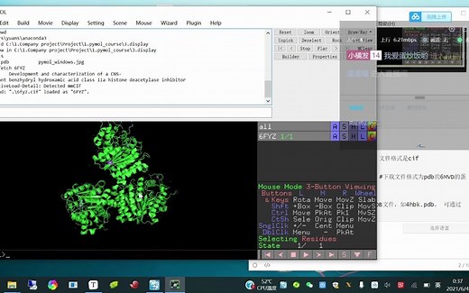 PyMOL初级教程——3.蛋白结构加载与展示