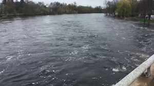 1.8K views | The Belleville Intelligencer on Reels | Facebook