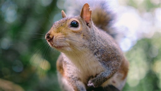 A Review of the Sigma 18-50mm f/2.8 DC DN Contemporary Lens