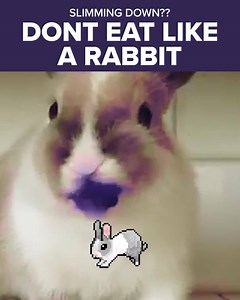 31K views · 26 reactions | FACT: Eating rabbit food all day sucks  Also FACT: Women everywhere are melting fat & losing inches without having to give up all of their favorite foods!  It all starts with Dr. Goglia’s free quiz to discover your Metabolic Type. Take Dr. Goglia's free quiz to learn your Metabolic Type. | G-Plans | Facebook