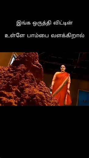 இங்கு ஒருத்தி வீட்டில் பாம்பை வளர்க்கிறாள்