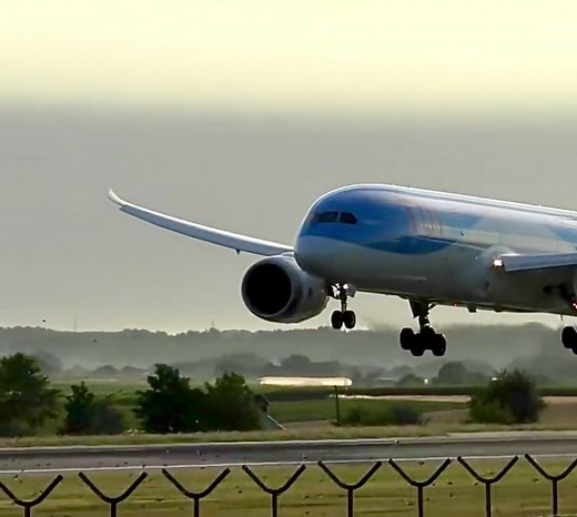 Bird Strike: A Dangerous Phenomenon in Aviation