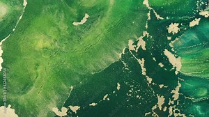 4k footage of gold green ink abstract in motion, close-up. Shiny art dynamic green fluid paints. Golden emerald flowing glitter texture. Watercolor liquid background. Green vertical video backdrop