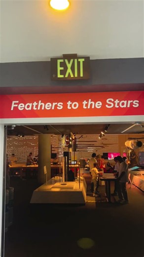 Things to do in Miami, Florida 🇺🇸 | Frost Museum 🔬