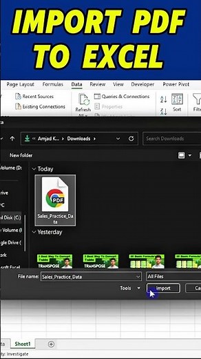 Import PDf file to Excel #exceltips #excel #exceltricks #pcshortcutz