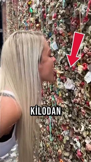 The World's Weirdest Wall!