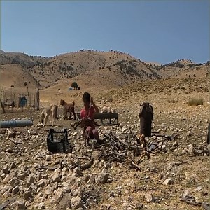 14 reactions | Nomadic documentary life and his father go to the city to get gas canisters.珞朗️️ | Alan TV | Facebook