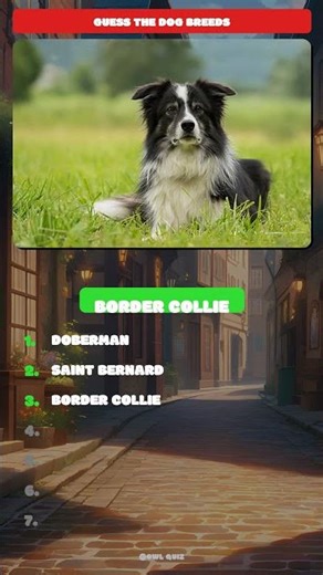 Dog Breed Quiz 🎯 | 3 Questions | Beat Your Family!