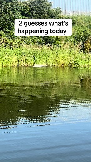 Carp blanker giveaways on TikTok