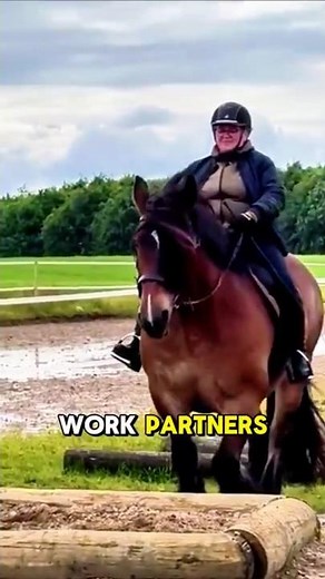 Discover the Majestic Jutland Horse Breed Today! #horse #animals #equestrianjourney #facts #jutland