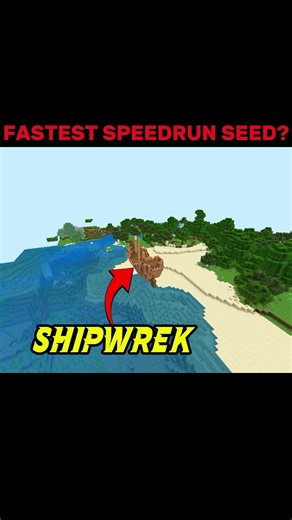 Minecraft Ultimate SPEEDRUN Seed Moment ☠️ #minecraft #usa