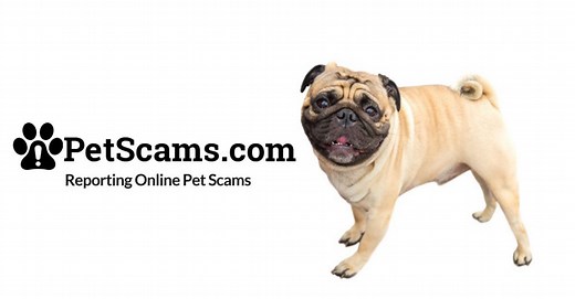 Puppy Scammer List Archives - PetScams.com