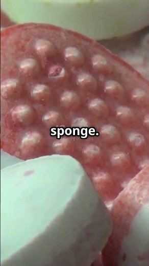 Mentos or Cola Soda What's The REAL Secret to A Massive Eruption?