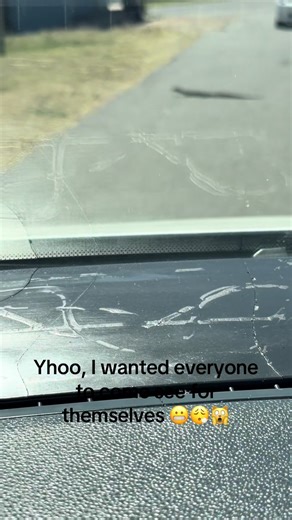 Exploring the Fascinating World of Reptiles