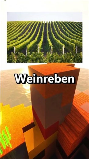 So sieht das Windows XP Bild heute aus...