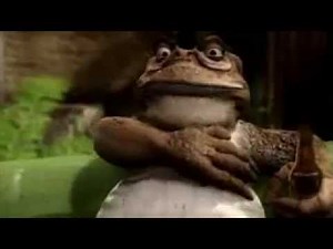 Australian Cane Toad. FUNNY!