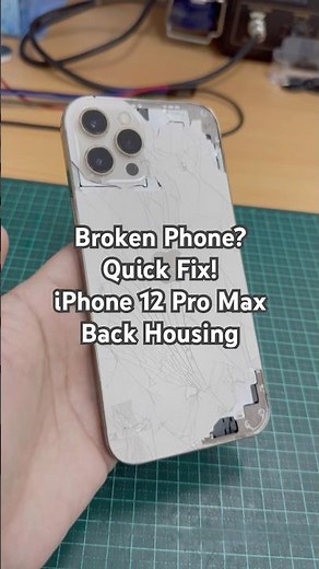 iPhone 12 Pro Max Back Housing Replacement