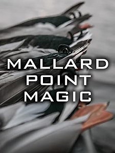 Mallard Point Magic