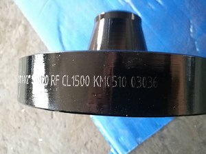 [Hot Item] Welding Neck Flange DN600 Pn10 Type 11/B1 En 1092-1 P285nh 1.0487