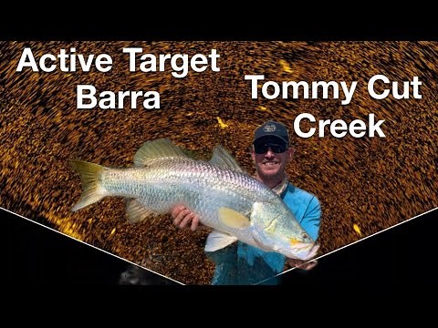 Active Target Barra in Tommy Cut Creek
