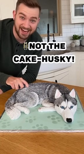 167K views · 1.4K reactions | When the husky cake gets “cut,” the real one walks off in pure disbelief  #Husky #FunnyDogs #DogReaction #ViralVideo #PetComedy #FunnyPets #DogLife #AnimalLovers | Baby Pets | Facebook