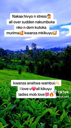 Mkikuyu Mwihoko: Wambui's Love and Stress