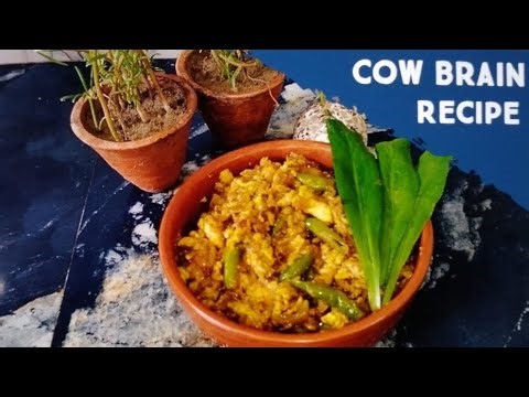 COW BRAIN RECIPE | Beef Brain Recipe |The Most DELICIOUS recipe you'll EVER try!