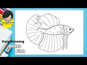 Easy Betta Fish Drawing
