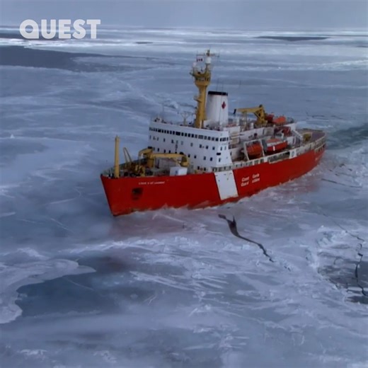 1.6M views · 28K reactions | Ice breakers save cruise ship from pack ice 朗 #XMachines | Quest | Facebook