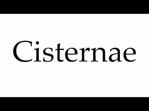 How to Pronounce Cisternae