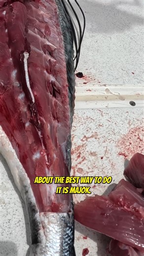 How to Fillet a Roosterfish - Part 4 Are you tired of sucking at fishing and want to learn and get more comfortable on the water? I Captain Dave created a mobile app “Your Saltwater Guide” with 400 videos showing and teaching you the ways of Saltwater Fishing. Your Saltwater Guide App Available Now on the Apple App Store & Google Play Store! #roosterfish #roosterfishing #mexicofishing #roosterfishfillet #filletingfish #fishfillet #sportfishing #fishing #fish | Your Saltwater Guide