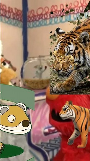 Elmo’s world cat son 20 2020 2020 2024