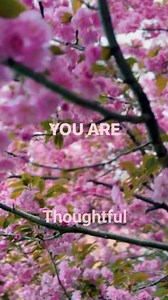 4.7K views · 113 reactions | Remind yourself that you’re beautiful, #Elegant #intelligent #Loving #capable and #majestic | Thoughtful | Facebook