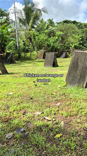 Chicken Netting & Fish Netting Solutions