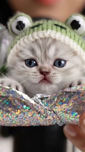 ✨ ASMR Sparkly Reveal: A Tiny Kitten in a Froggy Hat!