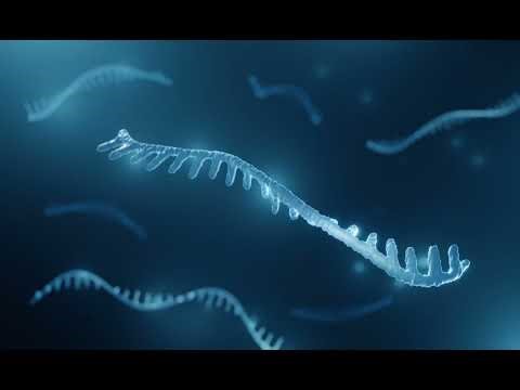 How Evolutionary Thinking Delayed a Nobel Prize Discovery