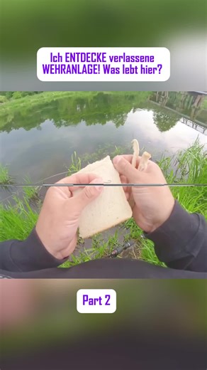 #angeln#fishing#joshinator#döbel#barsch#westinfishing