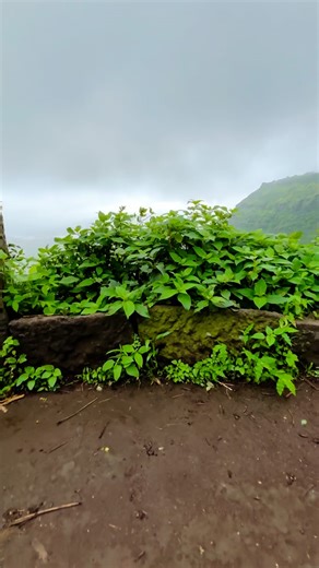 ‎برہان….👀❤️‍🔥🥀👑🇸🇦🕊💎‎ | Just feel the weather🍃⛰️ 🎥 : @_ixi_burhan_ixi_ . . . #traveling #mountain #explorer #rain #weather #monsoon | Instagram