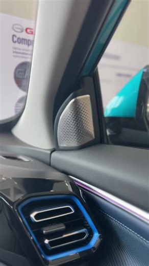 Info on the Audio System in the GAC Emzoom GS3. #gac #car #emzoom #showroom #dts #sound #speaker