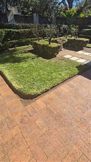 🔥 Satisfying Lawn Makeover — Trim, Edge & Clean!