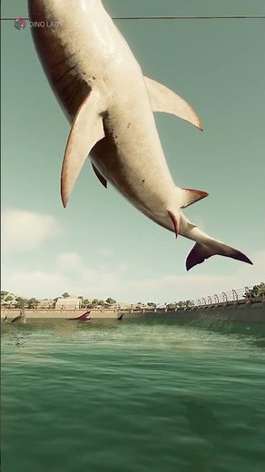 🦈 MEGALODON vs. GREAT WHITE SHARK! 🦈 | The Ultimate Ocean Predator Battle! 💥