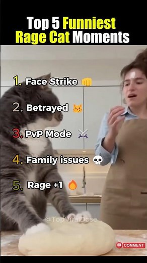 Top 5 Funniest Cat Rage Moments Caught on Camera 😾🔥