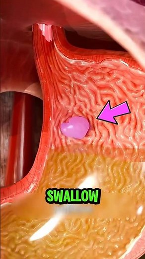 What Really Happens When You Swallow Gum?
