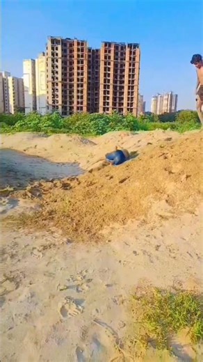 First try double 🥹 #shorts #youtube #viralvideo #trending #viralvideo