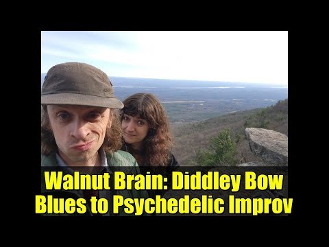Walnut Brain: Diddley Bow Blues to Psychedelic Improv