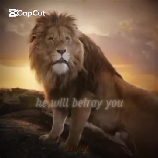 ☆HOLLY☆ on TikTok