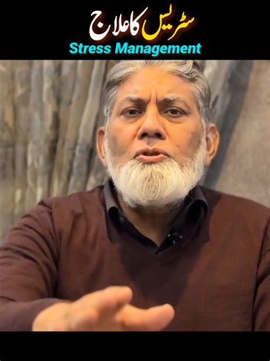 Effective Stress Management Techniques