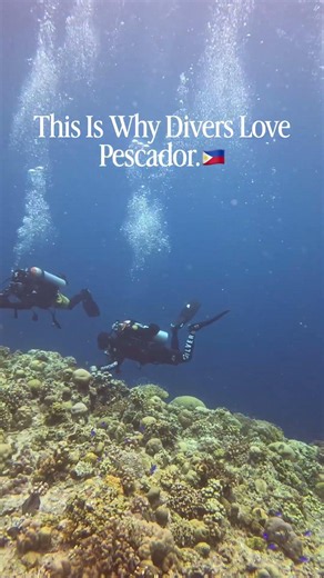 This Is Why Divers Love Pescador