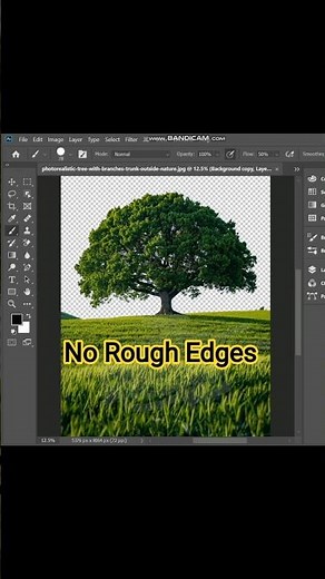 Remove Tree Background in Photoshop (Fast & Accurate) #photoshop #shorts #graphicdesignglobal